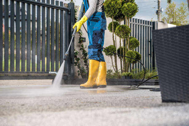 Best Fence Cleaning  in Trenton, FL